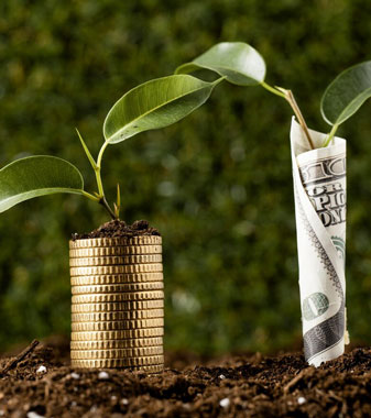 Mutual Fund Services